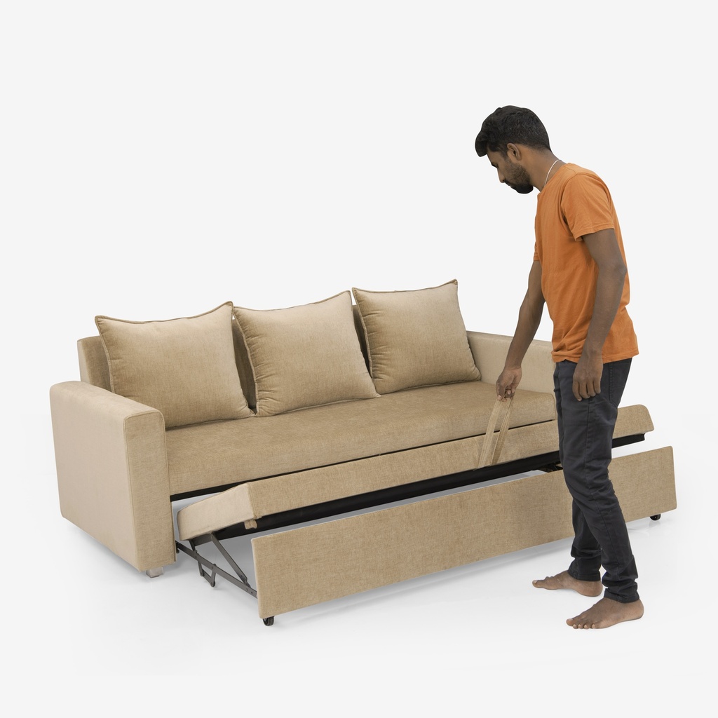 Auriga Sofa Cum Bed