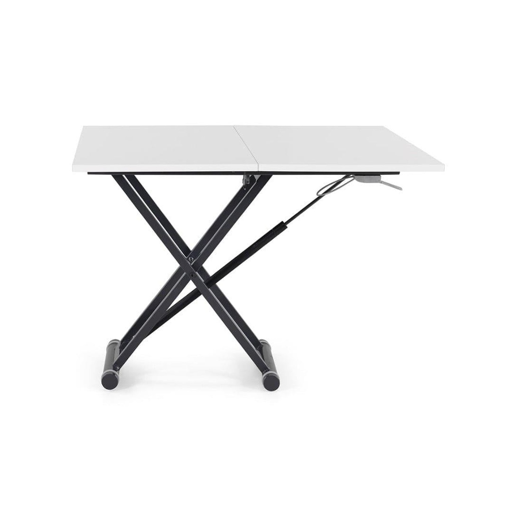 Canopus Coffee Table Cum Dining Table